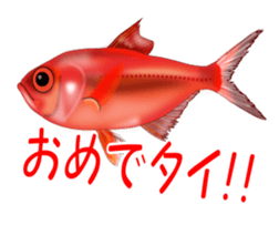 Fishes sticker #15934453