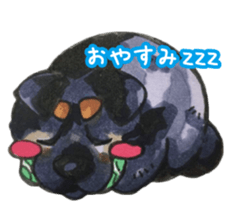 Lucky kuroshiba sticker #15934540