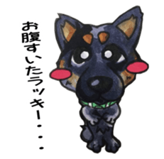Lucky kuroshiba sticker #15934541