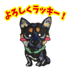 Lucky kuroshiba sticker #15934542