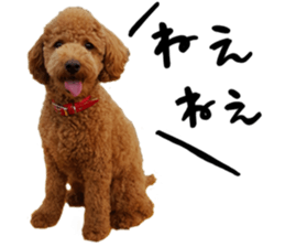 pretty dog TAE sticker #15934834