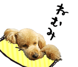 pretty dog TAE sticker #15934835
