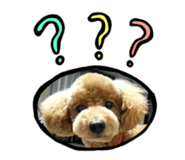 pretty dog TAE sticker #15934839