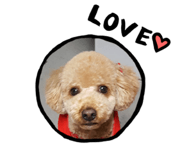 pretty dog TAE sticker #15934841