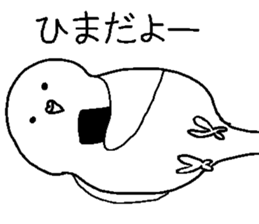 The White Budgerigar 1 sticker #15935508