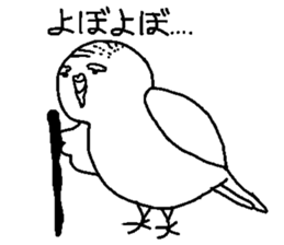 The White Budgerigar 1 sticker #15935512