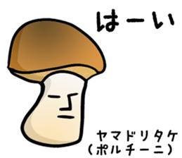 The real mushroooms. sticker #15935596