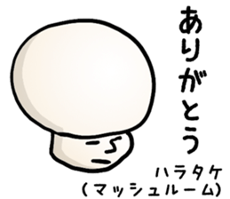 The real mushroooms. sticker #15935625