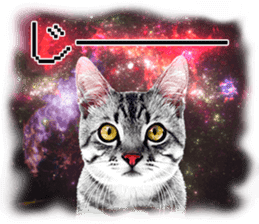 Cat Photo Stickers 08 sticker #15937054