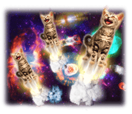 Cat Photo Stickers 08 sticker #15937078