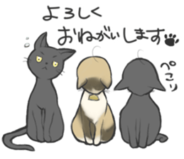 Sticker of Sora-no-usagi sticker #15937174