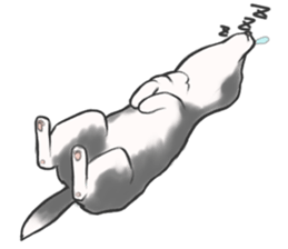 Sticker of Sora-no-usagi sticker #15937188