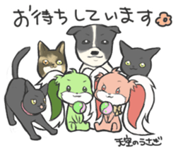 Sticker of Sora-no-usagi sticker #15937190