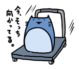 Neko-penguin & cat sticker #15939626