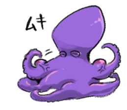 octopus opisthoteuthis depressa 2 sticker #15941100