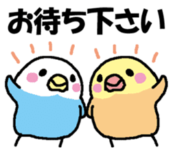 Parakeet assortment sticker #15941419