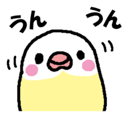 Parakeet assortment sticker #15941426