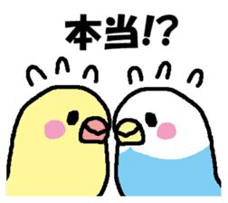 Parakeet assortment sticker #15941446