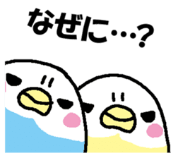 Parakeet assortment sticker #15941451