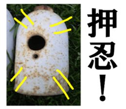 Gas cylinder sticker #15942125