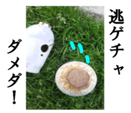 Gas cylinder sticker #15942128