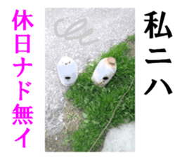 Gas cylinder sticker #15942129