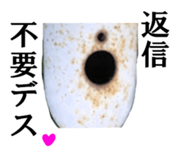 Gas cylinder sticker #15942149