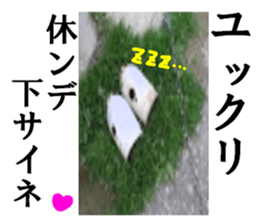 Gas cylinder sticker #15942153