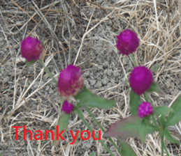 Ling Shan sticker #15945294