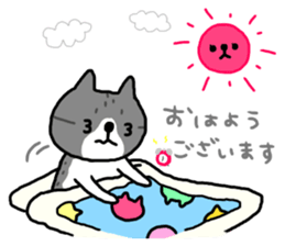 A cat sticker has been released 2 sticker #15945466