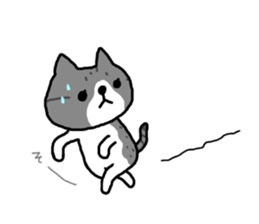 A cat sticker has been released 2 sticker #15945476