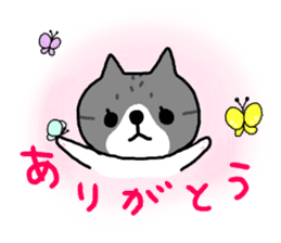 A cat sticker has been released 2 sticker #15945480