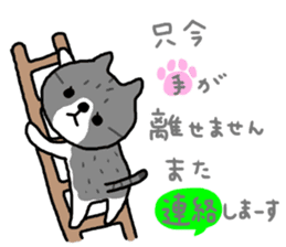 A cat sticker has been released 2 sticker #15945483