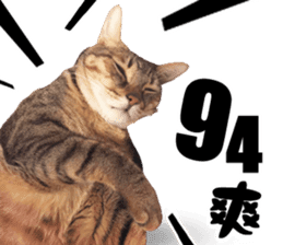 Angel's beauty cat-Bear&Wan sticker #15946380