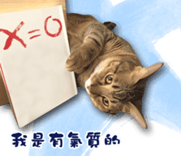 Angel's beauty cat-Bear&Wan sticker #15946399