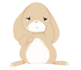 Fifi daily sticker #15946934