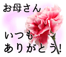 A message of the Mother's Day! Part2 sticker #15947570