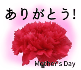 A message of the Mother's Day! Part2 sticker #15947571
