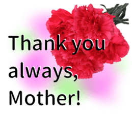 A message of the Mother's Day! Part2 sticker #15947574