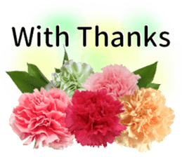 A message of the Mother's Day! Part2 sticker #15947575