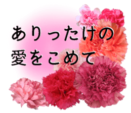 A message of the Mother's Day! Part2 sticker #15947577