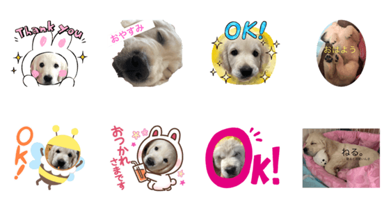 ぶさかわミント Lineスタンプマニア クリエイターズスタンプ ぶさかわミント Lineスタンプマニア クリエイターズスタンプ