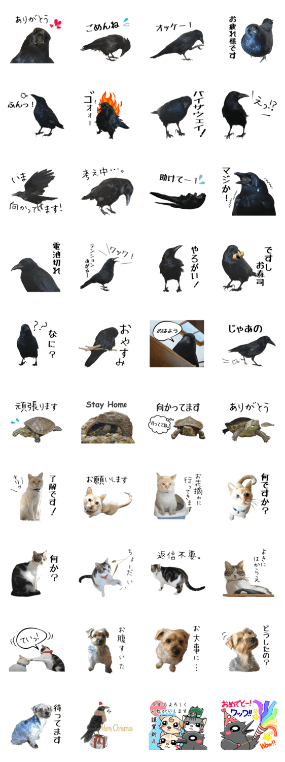 ペット記録チャンネル のんびりスタンプ Lineスタンプマニア クリエイターズスタンプ ペット記録チャンネル のんびりスタンプ Lineスタンプマニア クリエイターズスタンプ