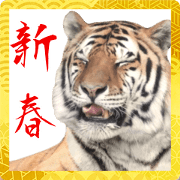 สติ๊กเกอร์ไลน์ Photograph of the tiger