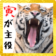 สติ๊กเกอร์ไลน์ Big photograph of the Year of the Tiger