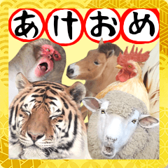 สติ๊กเกอร์ไลน์ Holiday of animals