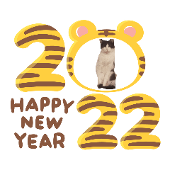 สติ๊กเกอร์ไลน์ New Year CAT Ruu