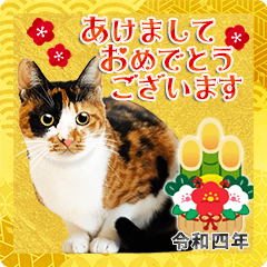 สติ๊กเกอร์ไลน์ New Year's greetings with cat photos