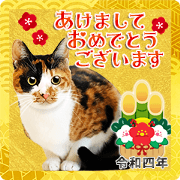 สติ๊กเกอร์ไลน์ New Year's greetings with cat photos