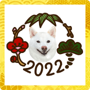 สติ๊กเกอร์ไลน์ White Shibainu sticker 2022 New Year